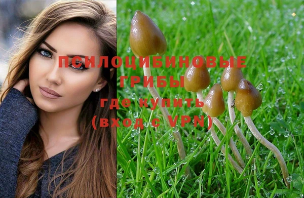 индика Нягань