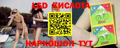 PSILOCYBIN Обнинск