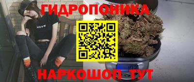 гидра Обь