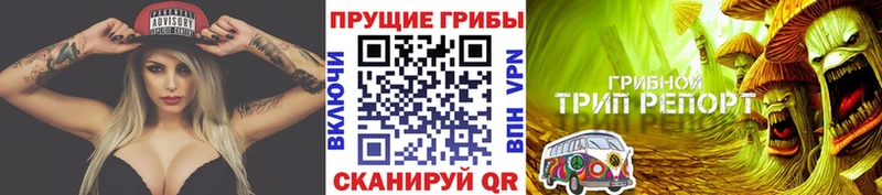 даркнет сайт  Ульяновск  Псилоцибиновые грибы прущие грибы 