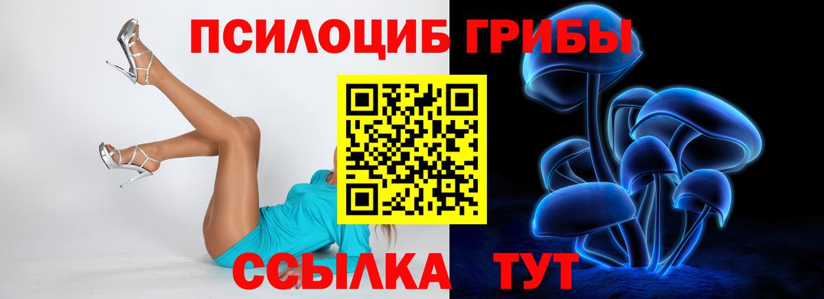 Псилоцибиновые грибы GOLDEN TEACHER  Вход с VPN  Ульяновск 